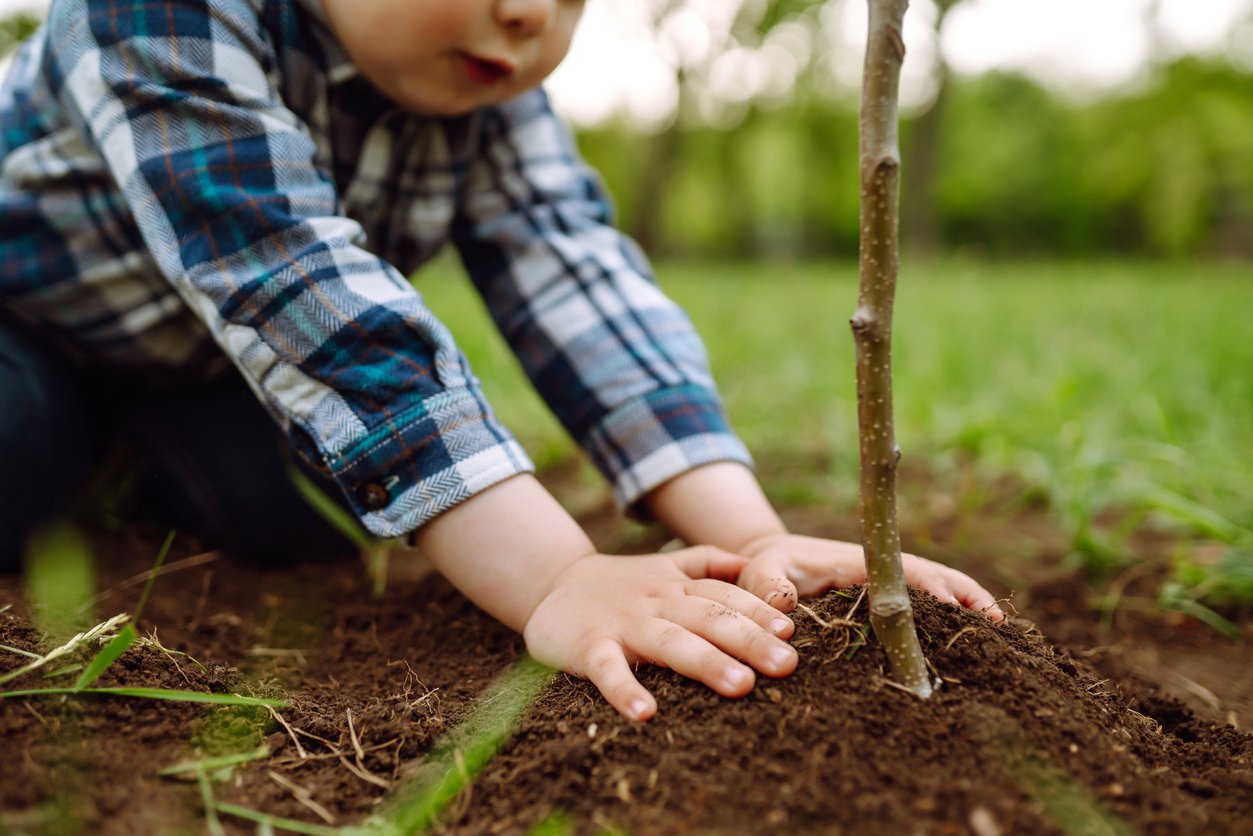 Boy planting tree