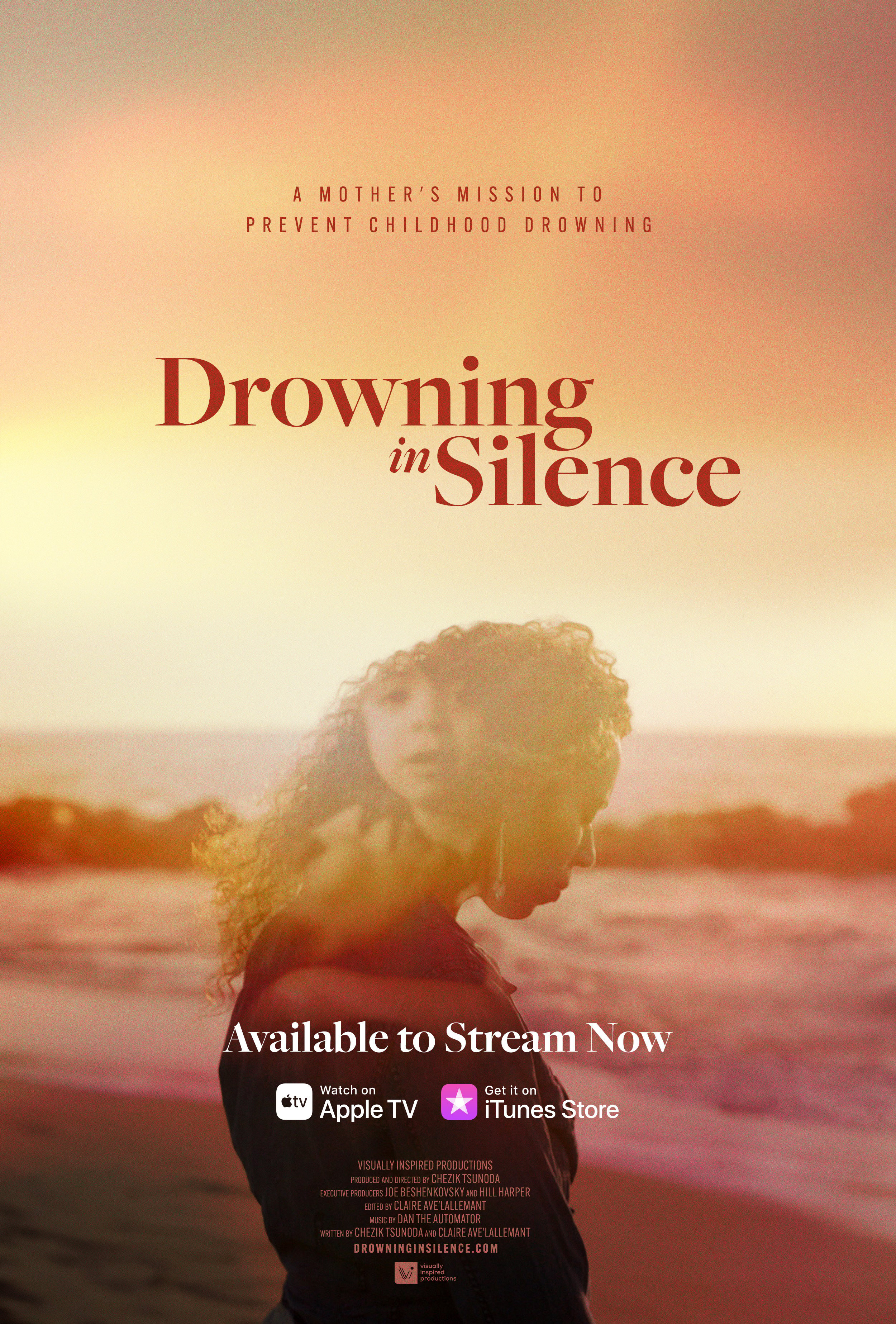 DIS Poster_streaminginfo